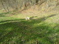 /album/a20081/dsc00259-gif/