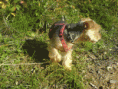 /album/a20081/dsc00265-gif/