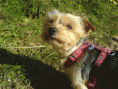 /album/a20081/dsc00266-gif/