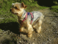 /album/a20081/dsc00267-gif/