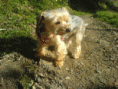 /album/a20081/dsc00268-gif/