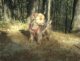 /album/a20081/dsc00269-gif/