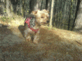 /album/a20081/dsc00270-gif/