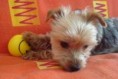 /album/a2009-leden/dsc00429-1-jpg/